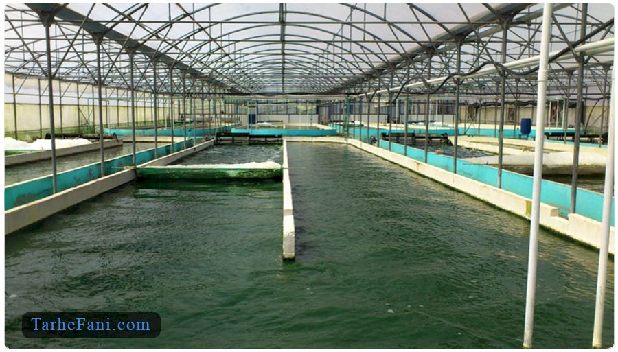 تجهیزات اصلی خط پرورش جلبک اسپیرولینا در طرح توجیهی