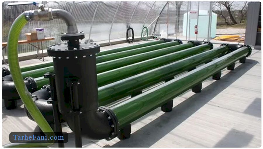 فرایند پرورش جلبک اسپیرولینا 