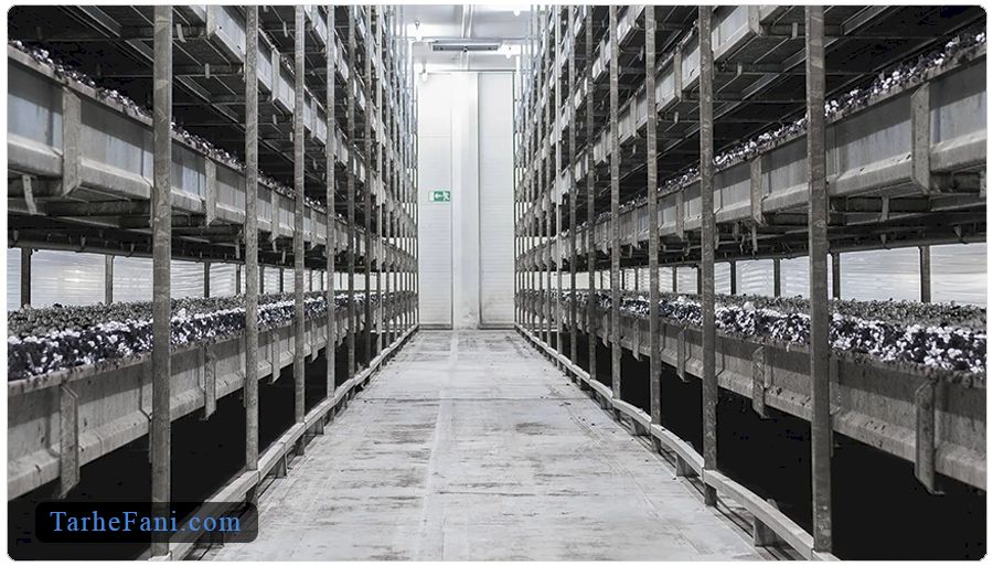 تجهیزات اصلی خط پرورش قارچ در طرح توجیهی