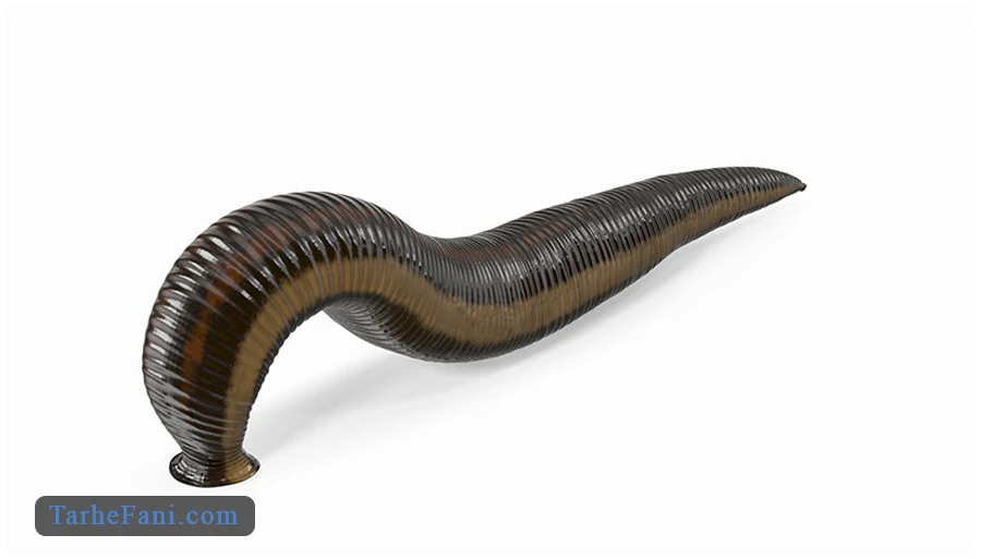 طرح توجیهی پرورش زالو