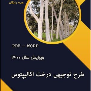 اکالیپتوس