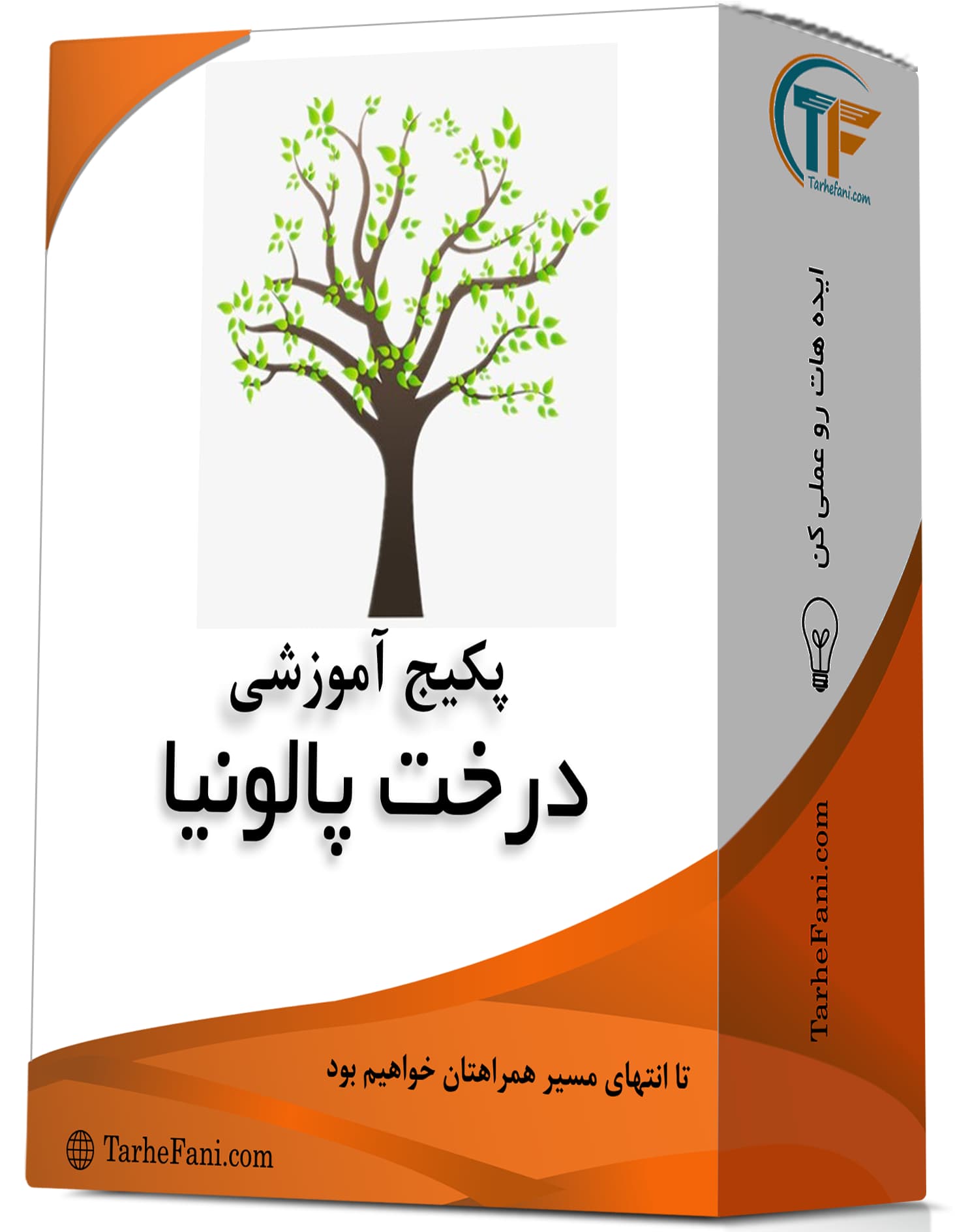 دوره آموزشی درخت پالونیا