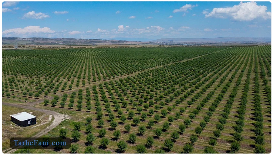 برنامه زمانبندی اجرای طرح