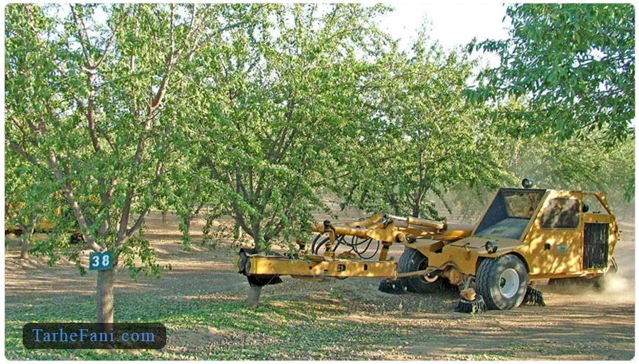 پیشبینی درآمد و سود خالص کاشت بادام
