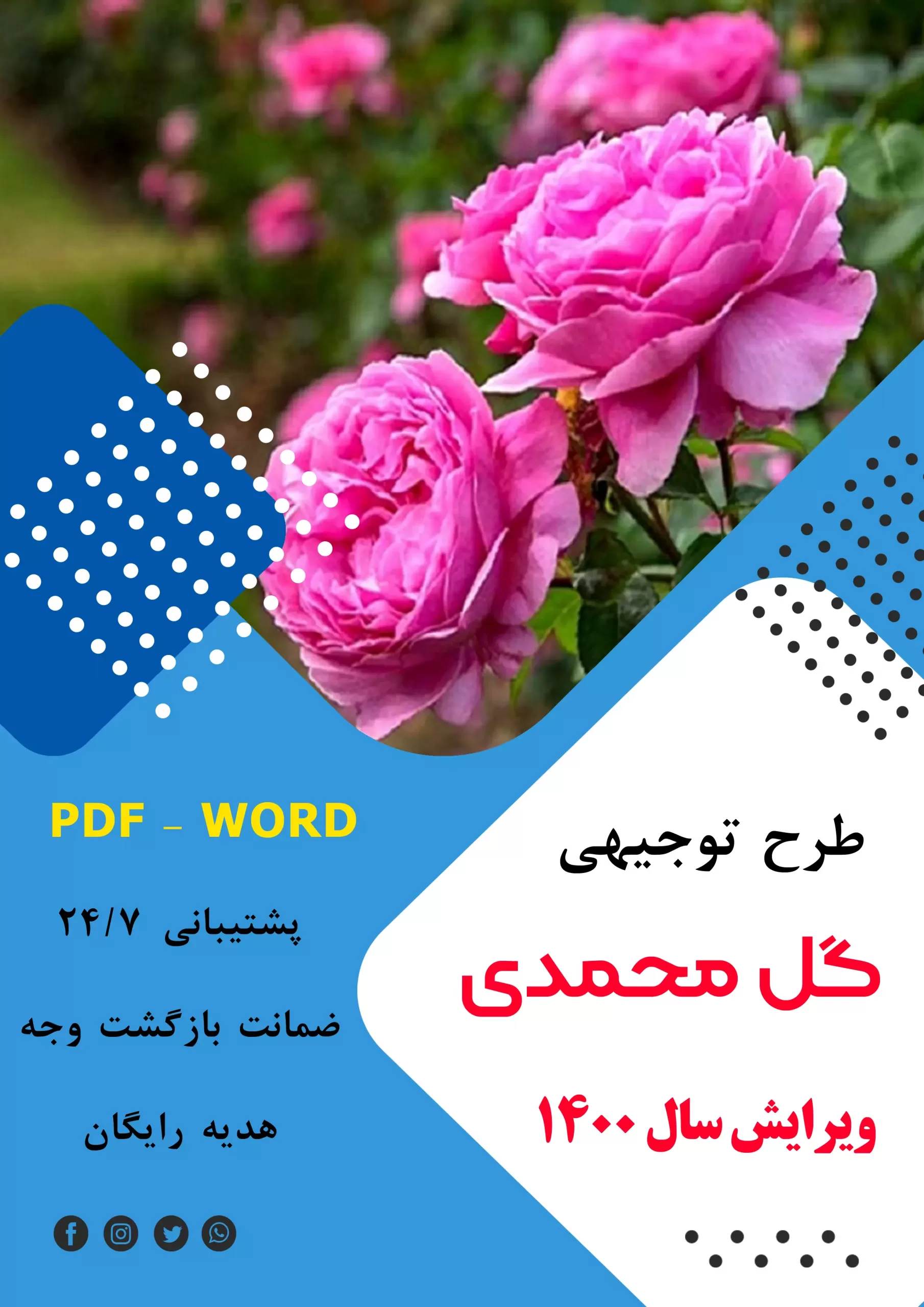 طرح توجیهی گل محمدی - طرح فنی