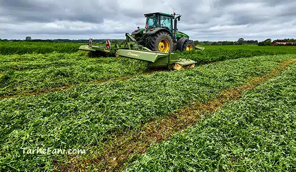 طرح توجیهی یونجه - طرح فنی