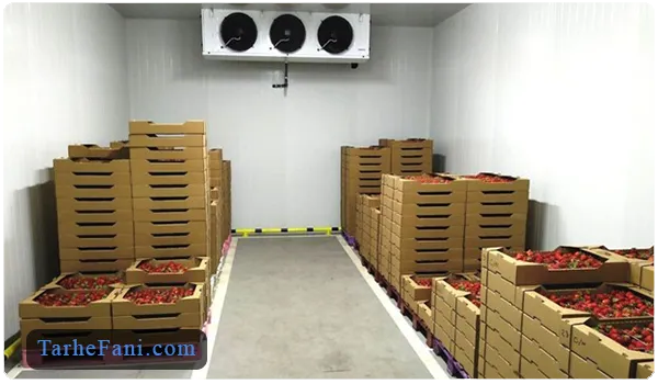 احداث سردخانه برای سبزیجات و میوه جات - طرح فنی