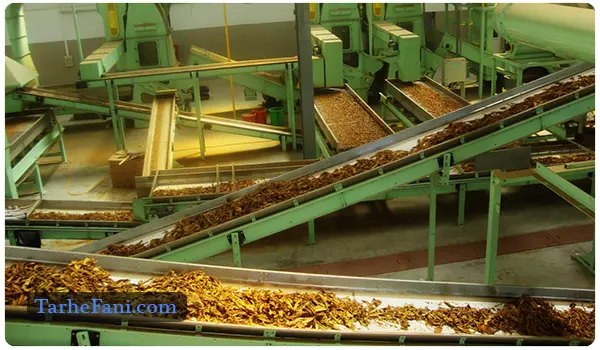 کارخانه تولید تنباکو معسل میوه ای در ایران - طرح فنی