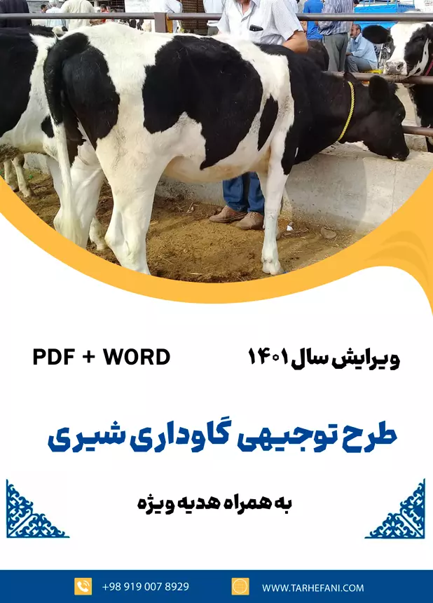 گاوداری شیری