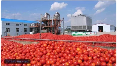 طرح توجیهی تولید رب گوجه فرنگی - طرح فنی