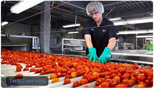 تولید رب گوجه - طرح فنی