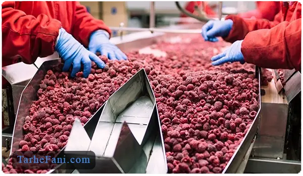 تمیز کردن میوه ها برای تولید لواشک - طرح فنی