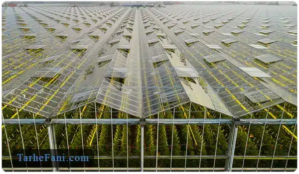 احداث انواع سازه های گلخانه - طرح فنی