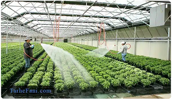 گلخانه صیفی جات - طرح فنی