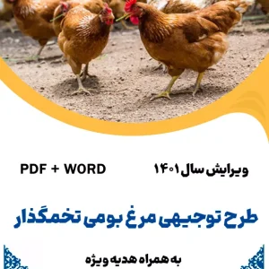 مرغ بومی - طرح فنی