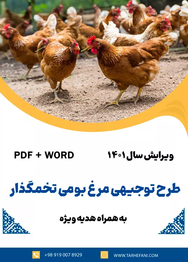 مرغ بومی - طرح فنی