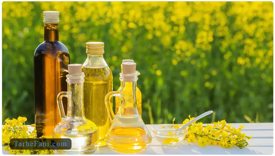 طرح توجیهی تولید روغن کلزا - طرح فنی