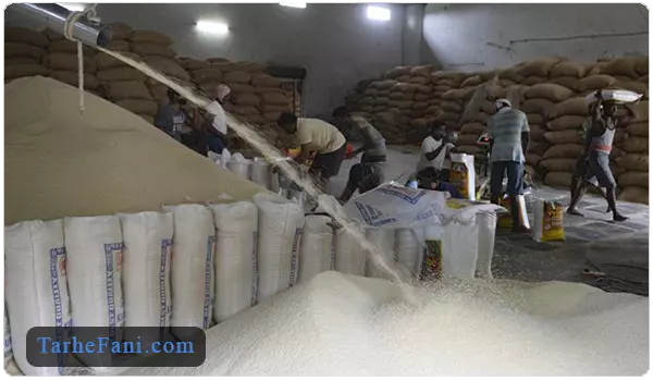 کارخانه شالیکوبی تبدیل شلتک به برنج - طرح فنی