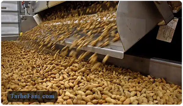 سورت بندی بادام زمینی - طرح فنی