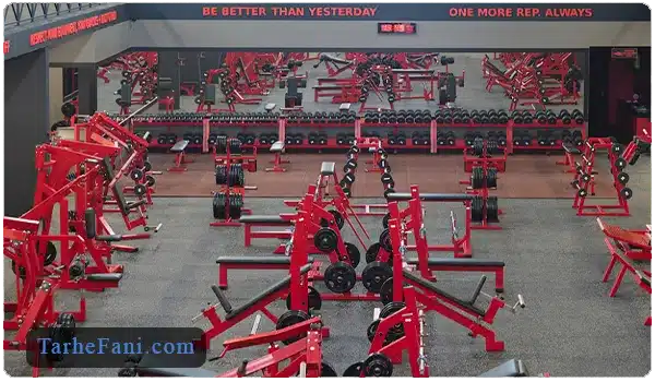 تاسیس باشگاه بدنسازی