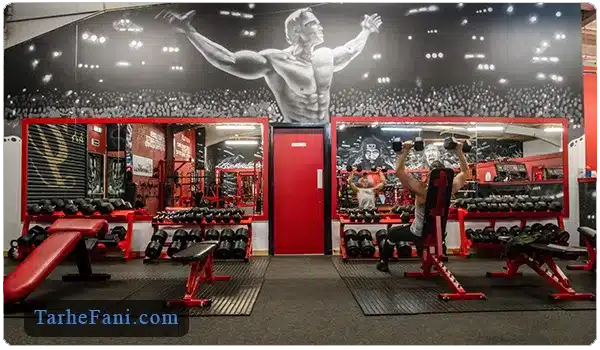 نگارش طرح توجیهی برای باشگاه بدنسازی