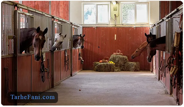 احداث بخش اصطبل اسب ها - طرح فنی