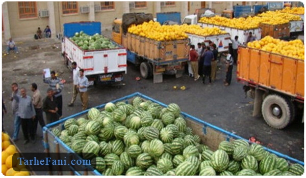 کامیون های پر از میوه در میدان میوه و تره بار - طرح فنی
