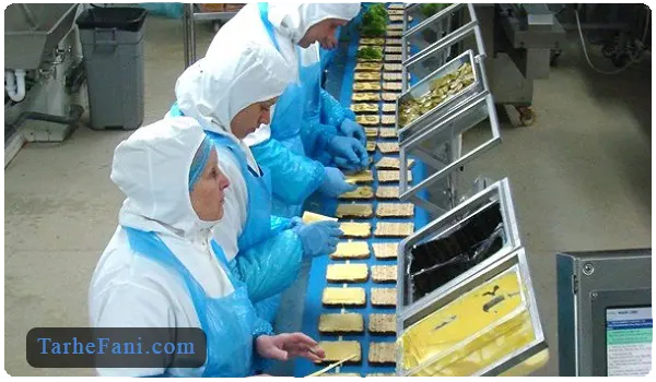 نیروی کار برای تولید ساندویچ سرد - طرح فنی