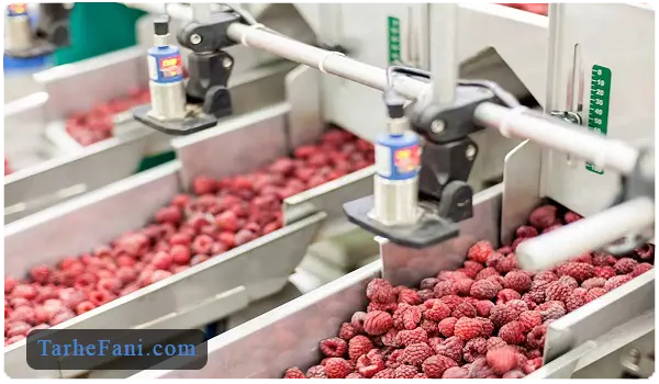 تجهیزات موردنیاز برای تولید کنسانتره و پوره میوه - طرح فنی
