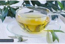 طرح توجیهی تولید چای از برگ درخت زیتون - طرح فنی