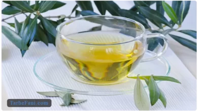 طرح توجیهی تولید چای از برگ درخت زیتون - طرح فنی