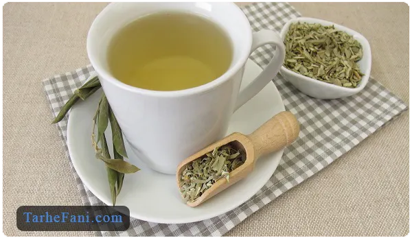 تولید چای از برگ درخت زیتون - طرح فنی