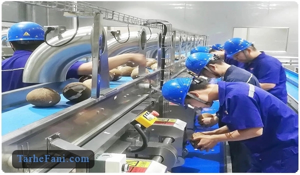 کارخانه تولید شیر نارگیل - طرح فنی
