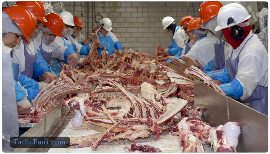 طرح توجیهی فرآوری ضایعات کشتارگاهی