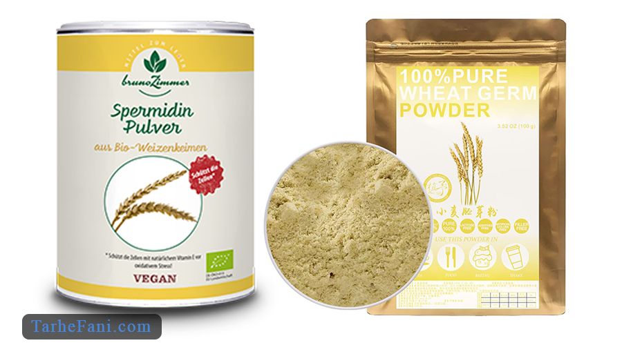 طرح توجیهی تولید پودر جوانه گندم