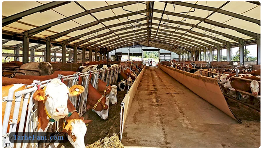 هزینه‌های اولیه راه‌اندازی مزرعه پرواربندی گوساله در طرح توجیهی 