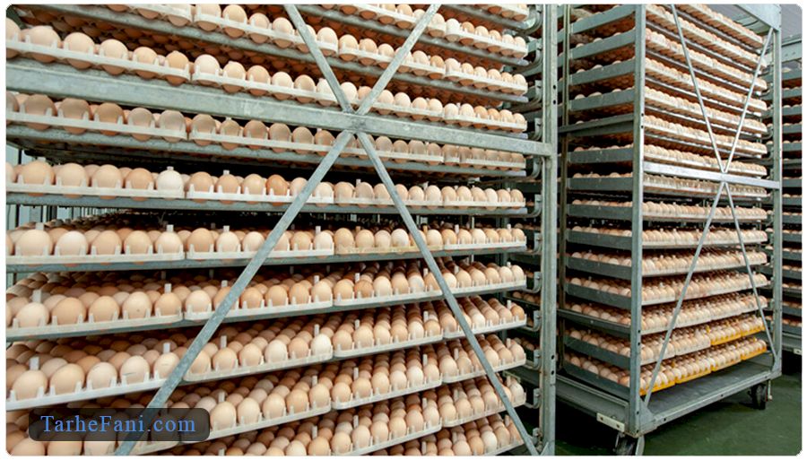 برآورد هزینه راه‌اندازی با طرح توجیهی تولید جوجه یک روزه 