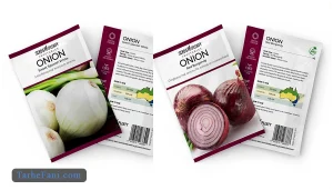 طرح توجیهی تولید بذر پیاز