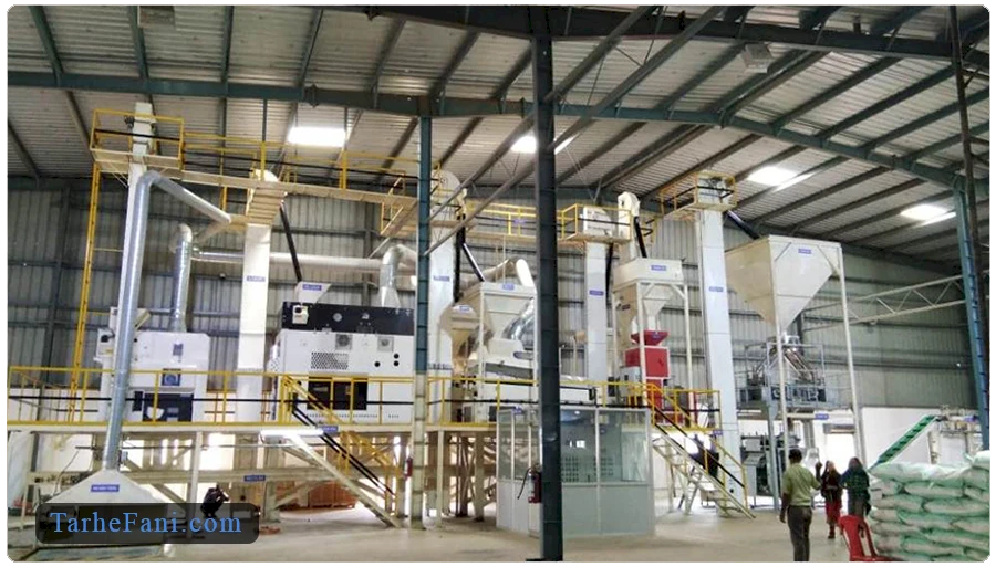 فرایند تولید بذر پیاز در کارخانه 