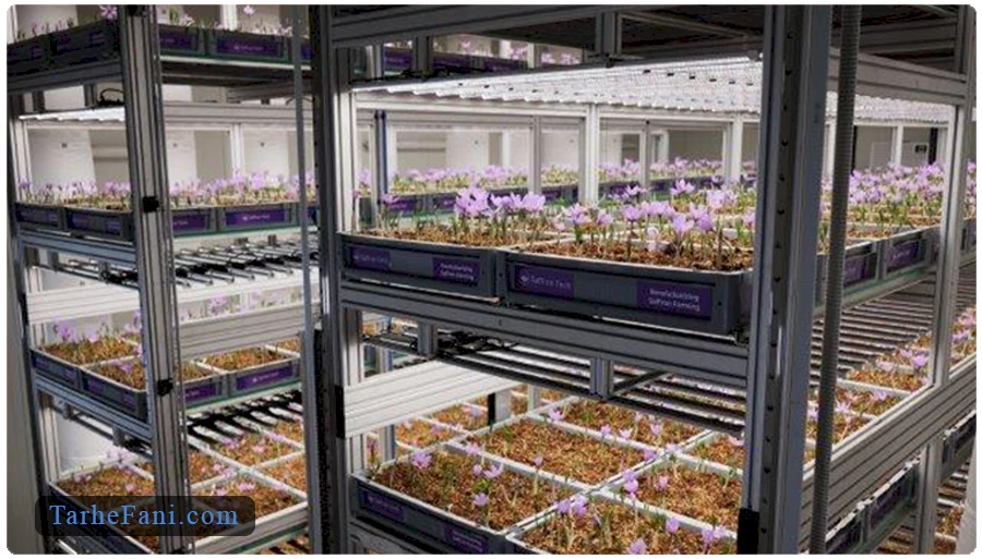 برآورد هزینه راه‌اندازی با طرح توجیهی گلخانه زعفران 